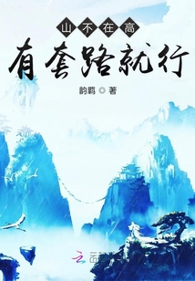 山不在高有套路就行