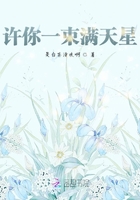 許你一束滿天星在線閱讀