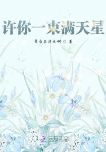 許你一束滿天星