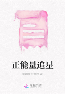 正能量追星