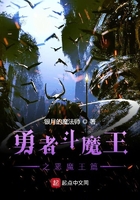 勇者斗魔王之惡魔王篇在線閱讀