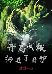 開局我被扔進了丹爐