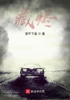 藏燼在線閱讀