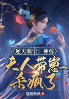 逆天萌宝：神尊，夫人带崽杀疯了在线阅读