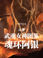 斗罗：武魂女神图鉴，魂环阿银