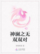 神澜之无双双对在线阅读