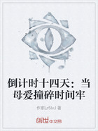 倒计时十四天:当母爱撞碎时间牢在线阅读