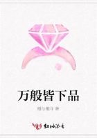 萬般皆下品在線閱讀