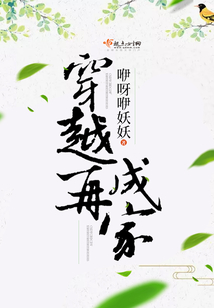 穿越再成家