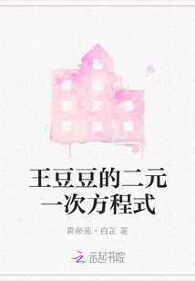 王豆豆的二元一次方程式