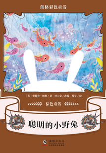 朗格彩色童話·棕色童話