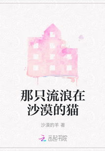 那只流浪在沙漠的貓