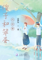 傻子和笨蛋的故事在线阅读