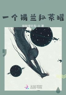 一個錫蘭紅茶罐