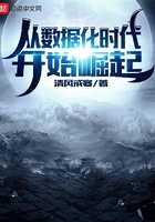 從數(shù)據(jù)化時代開始崛起在線閱讀