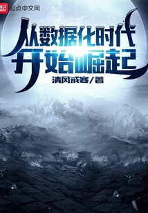從數據化時代開始崛起
