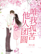 他人團圓，唯我孤苦在線閱讀