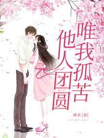 他人團圓，唯我孤苦