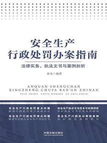 安全生產行政處罰辦案指南:法律實務、執(zhí)法文書與案例剖析