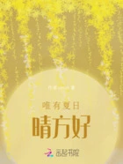 唯有夏日晴方好在线阅读
