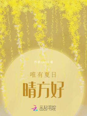 唯有夏日晴方好在线阅读