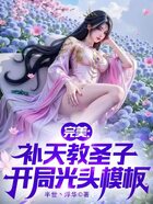 完美:补天教圣子,开局光头模板在线阅读
