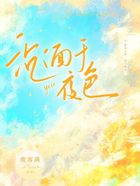 沉湎于夜色在线阅读