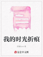 我的时光折痕在线阅读