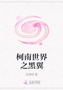 柯南世界之黑翼