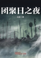 團聚日之夜在線閱讀