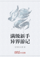滿級新手異界游記在線閱讀