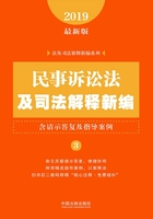 民事诉讼法及司法解释新编（含请示答复及指导案例）（2019年版）在线阅读