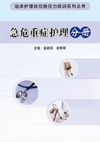 临床护理岗位胜任力培训系列丛书:急危重症护理分册在线阅读