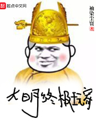大明终极玩家