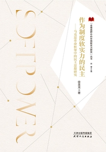 作为制度软实力的民主：马克思革命框架中的民主思想研究