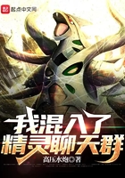 我混入了精灵聊天群