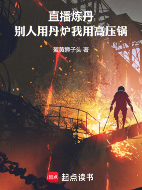 直播炼丹:别人用丹炉我用高压锅在线阅读