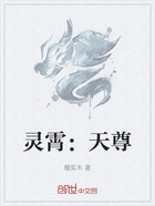 灵霄:天尊在线阅读