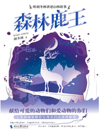 森林鹿王在线阅读