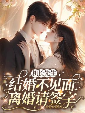 机长先生，结婚不见面，离婚请签字在线阅读