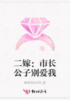 二嫁:市长公子别爱我