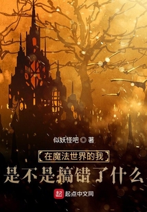 在魔法世界的我是不是搞錯了什么