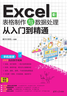 Excel表格制作與數據處理從入門到精通