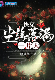 塵緣落滿一片天快穿