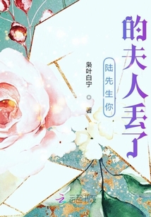 陸先生你的夫人丟了