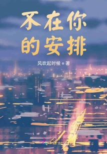 不在你的安排