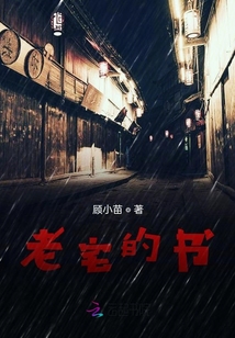 老宅的書
