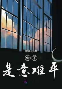 你不是意難平
