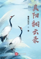 真阳翻云录