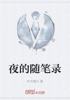 夜的随笔录在线阅读